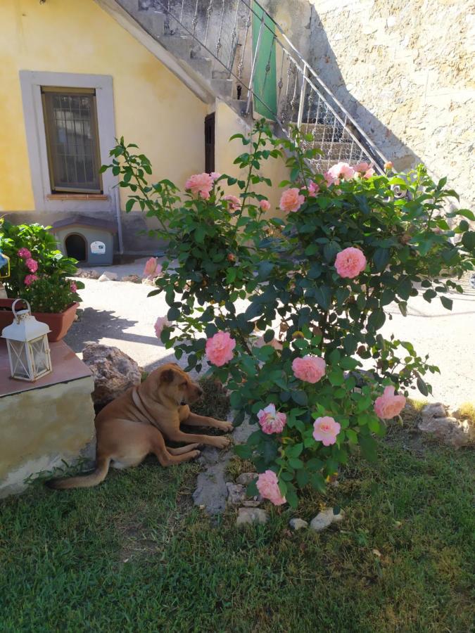 Il Giardino Dei Semplici B&B Caulonia Eksteriør billede